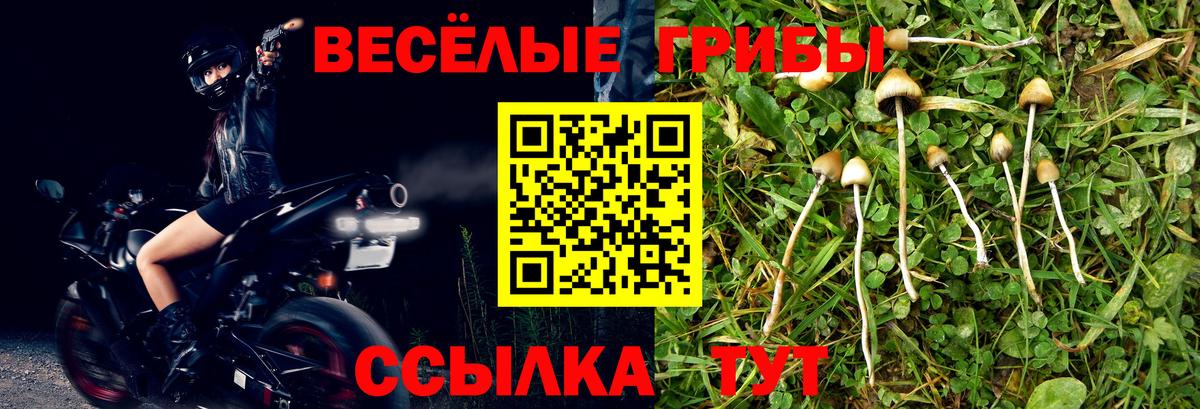 Галлюциногенные грибы Magic Shrooms Котельники