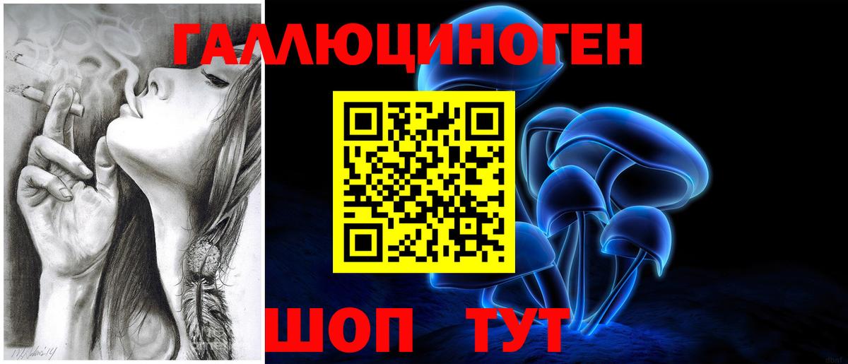 Галлюциногенные грибы GOLDEN TEACHER  Псилоцибиновые грибы прущие грибы  Котельники  Вход с VPN 
